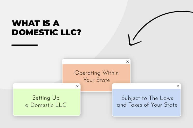 Domestic LLC