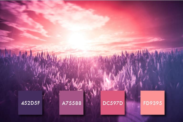 Paleta de color rosa